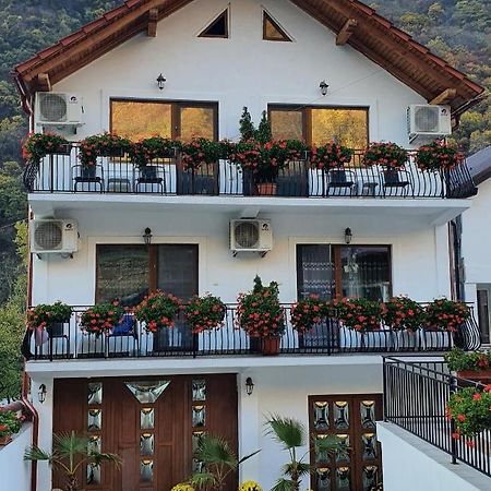 Casa Mimi Appartement Băile Herculane Buitenkant foto