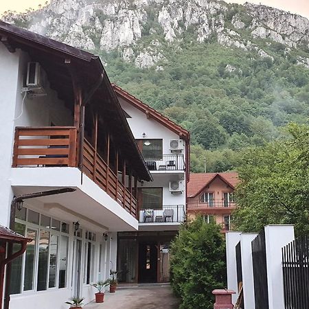 Casa Mimi Appartement Băile Herculane Buitenkant foto