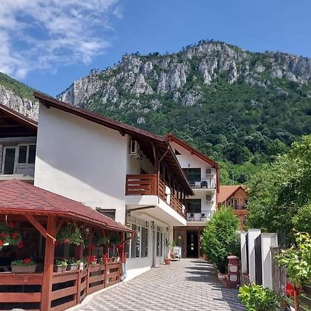 Casa Mimi Appartement Băile Herculane Buitenkant foto