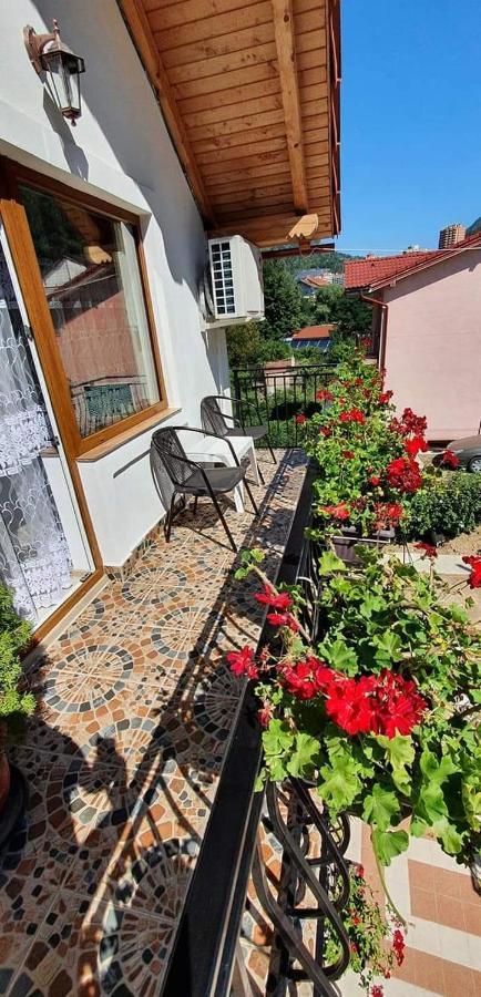 Casa Mimi Appartement Băile Herculane Buitenkant foto
