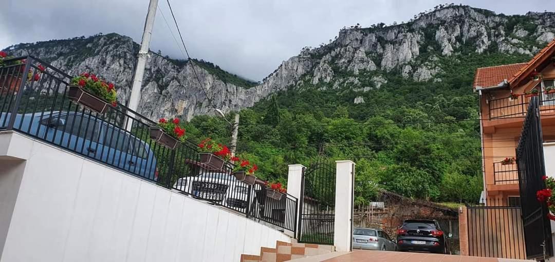 Casa Mimi Appartement Băile Herculane Buitenkant foto