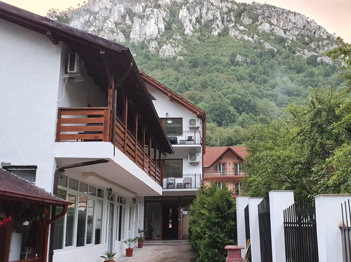 Casa Mimi Appartement Băile Herculane Buitenkant foto