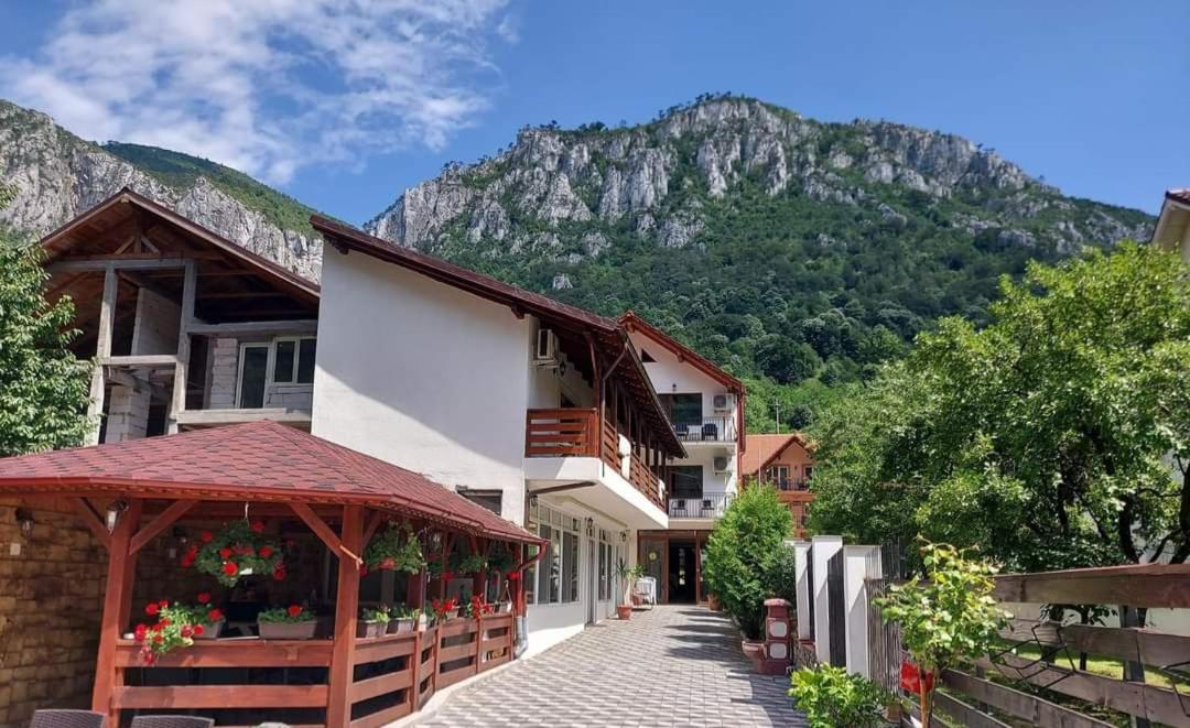Casa Mimi Appartement Băile Herculane Buitenkant foto